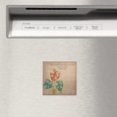 Aimant Bijoux précieux Écriture (In Situ (Lave-vaisselle))