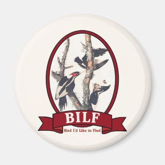 AIMANT BILF