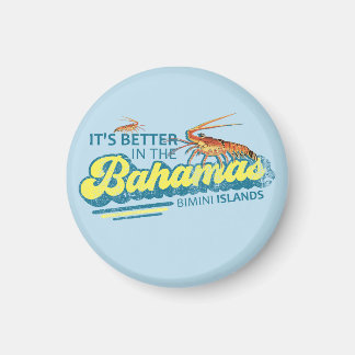 Aimant Bimini Iles Bahamas Croisière de vacances avec aim