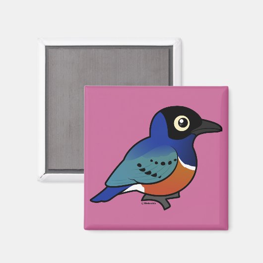 Aimant Birdorable Superbe Starling (Recto/Verso)