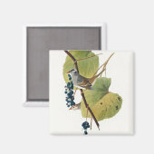 Aimant Birds of America (1827) par John James Audubon (Recto/Verso)