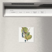 Aimant Birds of America (1827) par John James Audubon (In Situ (Lave-vaisselle))