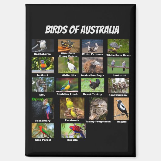 Aimant Birds of Australia (Recto)