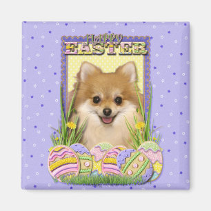 Aimant Biscuits d'oeuf de pâques - Pomeranian