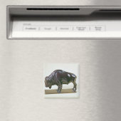 Aimant Bison, 1907 (In Situ (Lave-vaisselle))