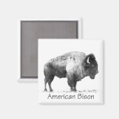 Aimant Bison américain (Recto/Verso)