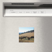 Aimant Bison dans le Colorado (In Situ (Lave-vaisselle))