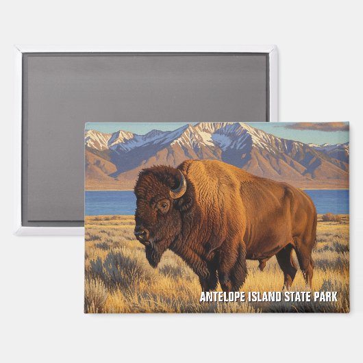 Aimant Bison dans le parc national d'Antelope Island dans (Recto/Verso)