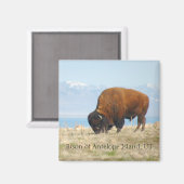 Aimant Bison d'Antelope Island, UT (Recto/Verso)