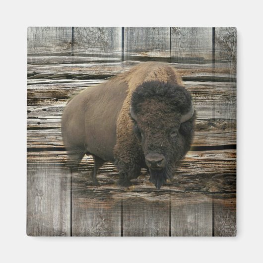Aimant Bison de bois (Devant)