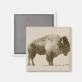Aimant Bison des plaines (Recto/Verso)