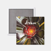 Aimant Black Cactus Photo Dream Citation Script Modern Bo (Recto/Verso)