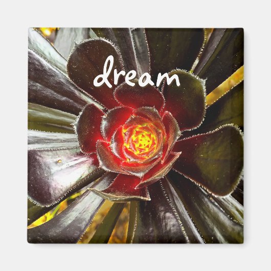 Aimant Black Cactus Photo Dream Citation Script Modern Bo (Devant)