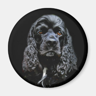 Aimant Black Cocker Spaniel