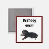 Aimant Black Dachshund Cocker Spaniel Puppy Photographie (Recto/Verso)