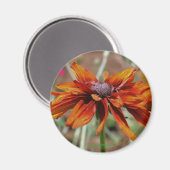 Aimant Black Eyed Susan Flower Photonet (Recto/Verso)