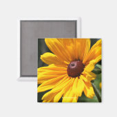 Aimant Black Eyed Susan Flower Photonet (Recto/Verso)