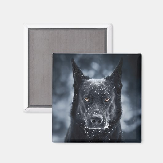 Aimant Black German Shepherd (Recto/Verso)