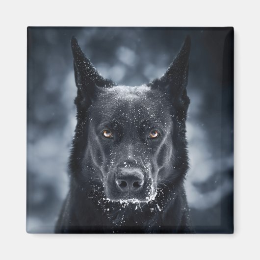 Aimant Black German Shepherd (Devant)