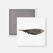 Aimant Black Ghost (Recto/Verso)