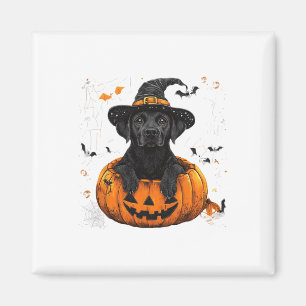 Aimant Black Lab Labrador Citrouille Halloween Thanksgivi