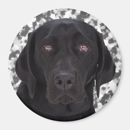 Aimant Black Labrador Retriever (Devant)