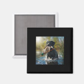 Aimant Black Labrador Retriever Chien Chasse Canards Dans (Recto/Verso)