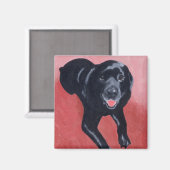 Aimant Black Labrador Souriant (Recto/Verso)