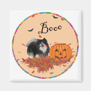 Aimant Black Pomeranian Halloween