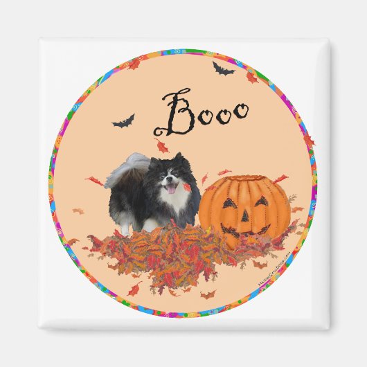 Aimant Black Pomeranian Halloween (Devant)