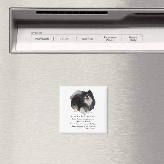 Aimant Black Pomeranian Keepsaké (In Situ (Lave-vaisselle))