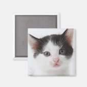 Aimant Black Spotted (Recto/Verso)