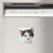 Aimant Black Spotted (In Situ (Lave-vaisselle))