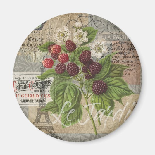 Aimant Blackberries Floral Garden Flower Papillon Art (Devant)