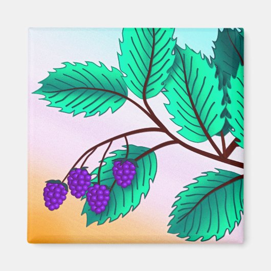 Aimant Blackberries sur une branche (Devant)