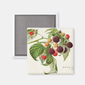 Aimant Blackberry (Recto/Verso)