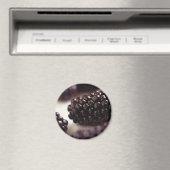 Aimant Blackberry (In Situ (Lave-vaisselle))