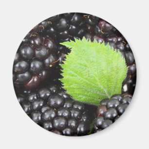 Aimant Blackberry