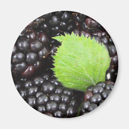 Aimant Blackberry (Devant)