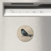 Aimant Blackbird de Brewer (In Situ (Lave-vaisselle))