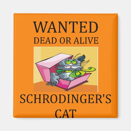Aimant blague de chat de schrodinger (Devant)