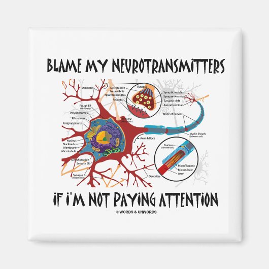 Aimant Blâmer mes neurotransmetteurs si ne pas prêter att (Devant)