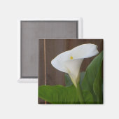Aimant Blanc Cali Lily (Recto/Verso)