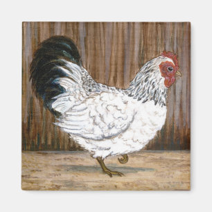 Aimant blanc de poulet
