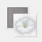 Aimant blanc et gris (Recto/Verso)