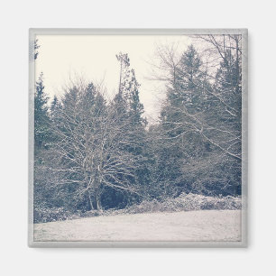 Aimant Blanc hiver