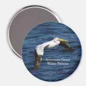 Aimant blanc pélican (Recto/Verso)
