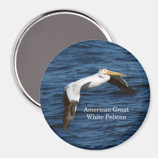 Aimant blanc pélican (Recto/Verso)