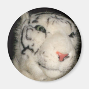 Aimant blanc Tigre 1