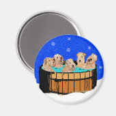 AIMANT BLANCHIMENT DANS UN BAIN À REMOUS (Recto/Verso)